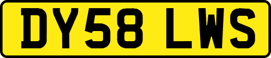 DY58LWS