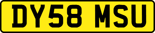 DY58MSU