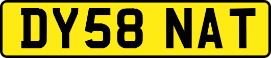 DY58NAT