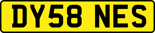 DY58NES