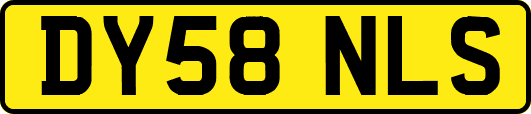 DY58NLS