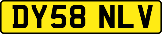 DY58NLV