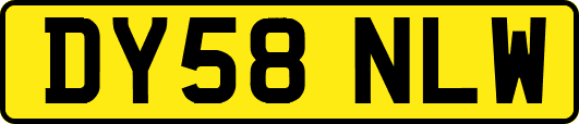 DY58NLW