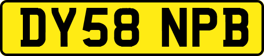 DY58NPB