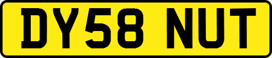 DY58NUT