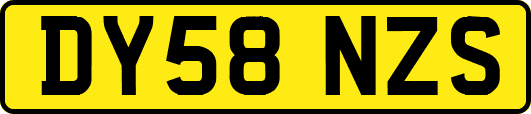 DY58NZS