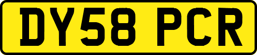 DY58PCR