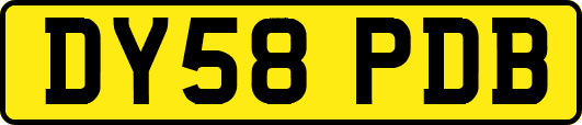 DY58PDB