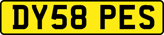 DY58PES