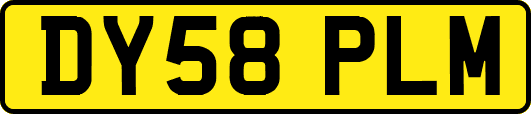 DY58PLM