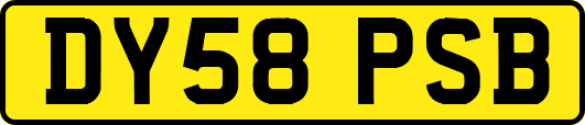 DY58PSB