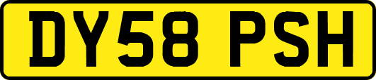 DY58PSH