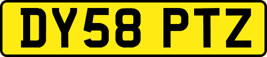 DY58PTZ