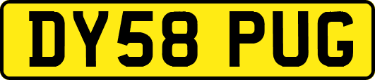 DY58PUG