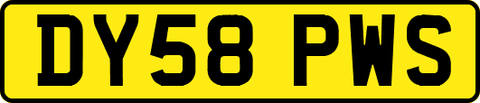 DY58PWS