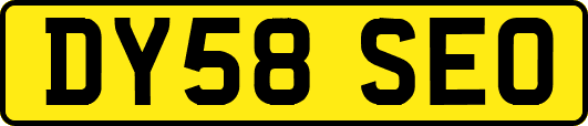 DY58SEO