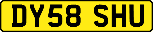 DY58SHU