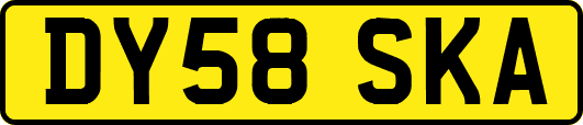 DY58SKA