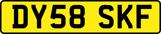 DY58SKF