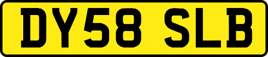 DY58SLB