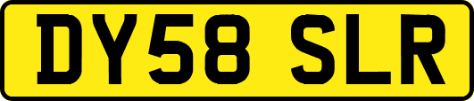 DY58SLR