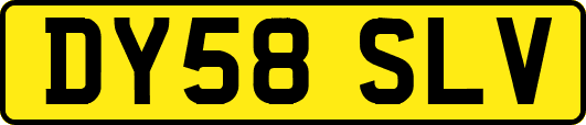 DY58SLV