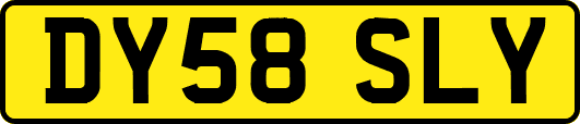 DY58SLY