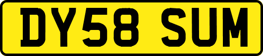 DY58SUM