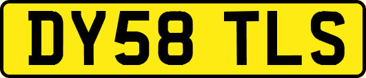 DY58TLS