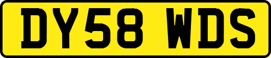 DY58WDS