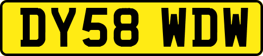 DY58WDW