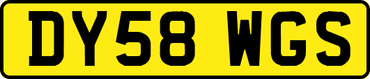 DY58WGS
