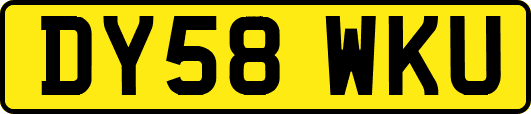 DY58WKU