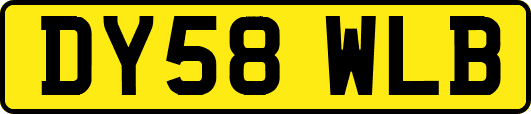 DY58WLB