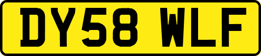 DY58WLF