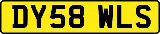 DY58WLS
