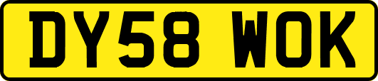 DY58WOK