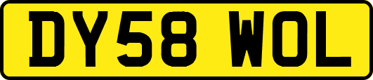DY58WOL