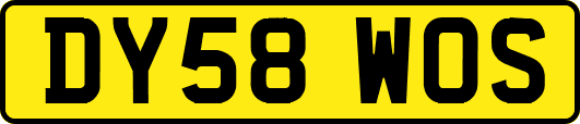 DY58WOS