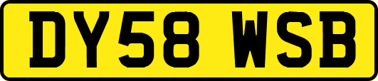 DY58WSB