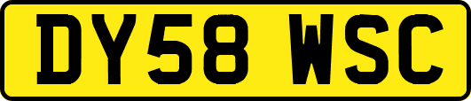 DY58WSC
