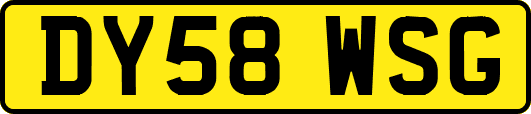 DY58WSG