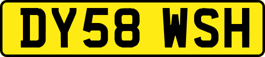 DY58WSH