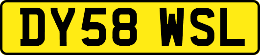DY58WSL