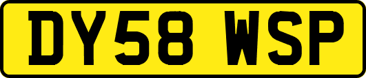DY58WSP