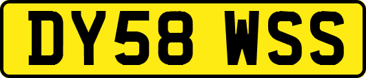DY58WSS