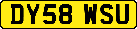 DY58WSU