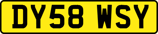 DY58WSY