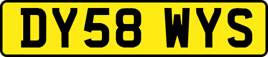 DY58WYS