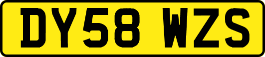 DY58WZS